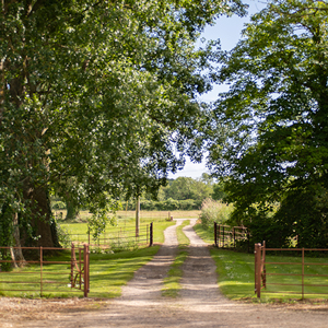  walk to the meadows and first lake from Rose Cottage