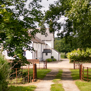 View of Tincleton Lodge from the Meadows