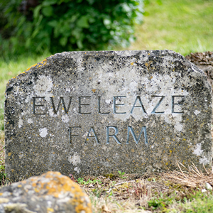 Eweleaze Farm