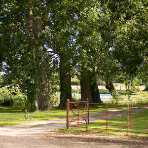 View from the front door