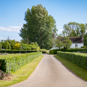 Entrance to Eweleaze Farm