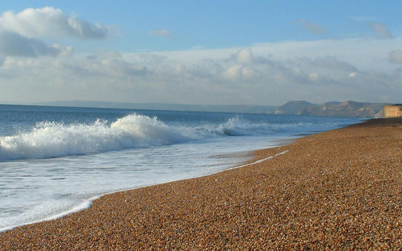 Discover Dorset
