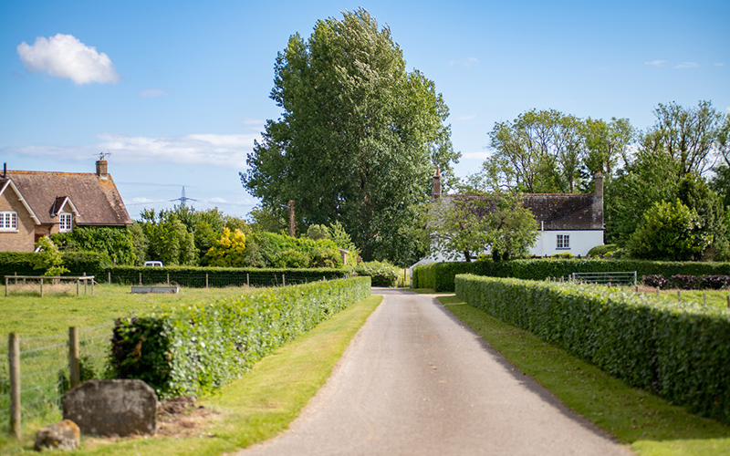 Discover Dorset