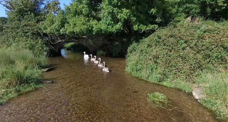 Farm Wildlife Dorset