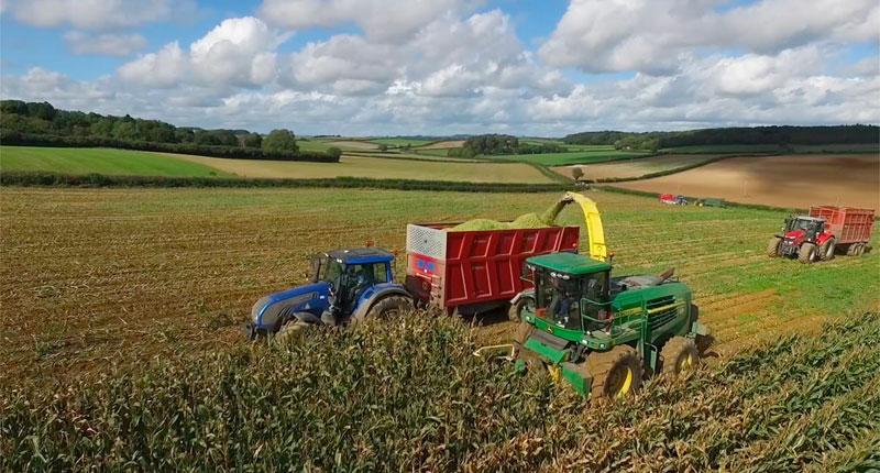 Farm Wildlife Dorset