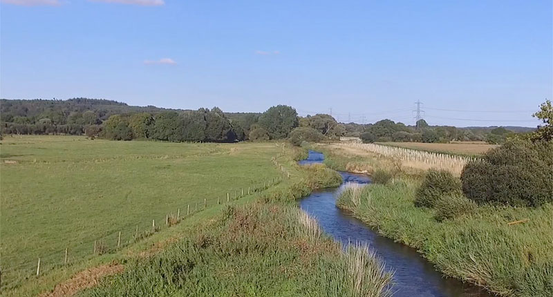 Farm Wildlife Dorset