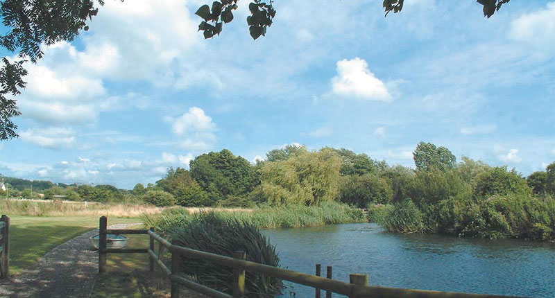 Farm Wildlife Dorset
