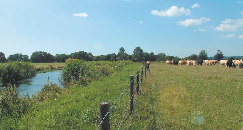 Farm Wildlife Dorset