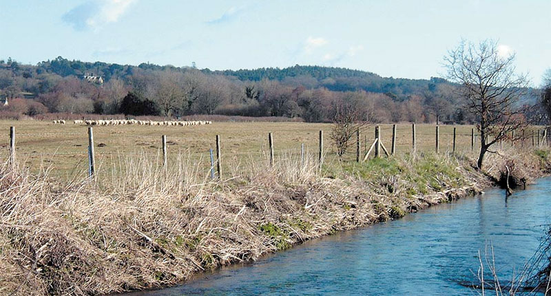 Farm Wildlife Dorset