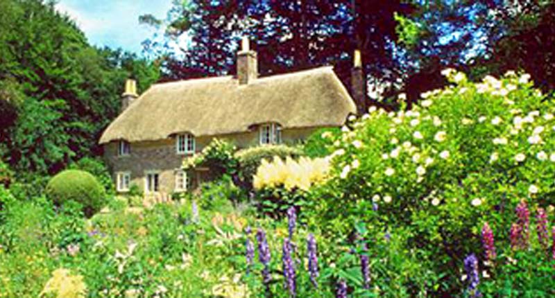 Discover Dorset